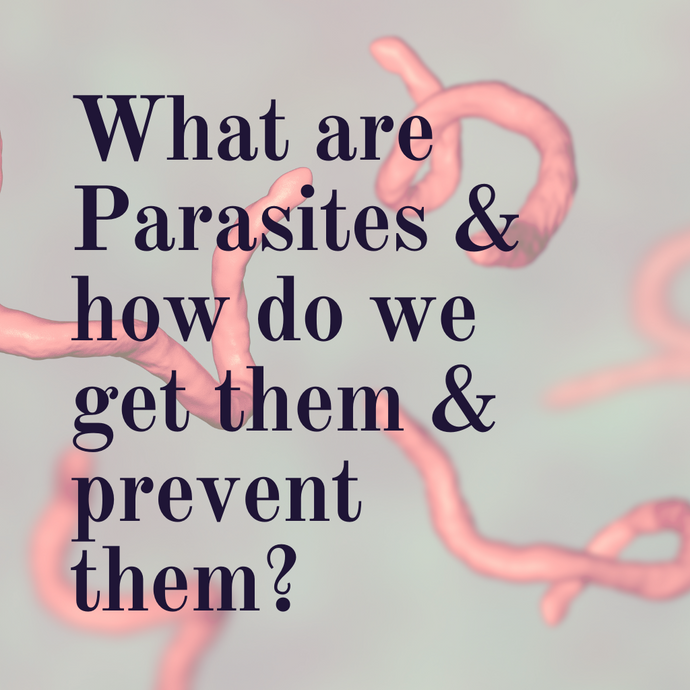 What are Parasites, how do we get them and prevent them?