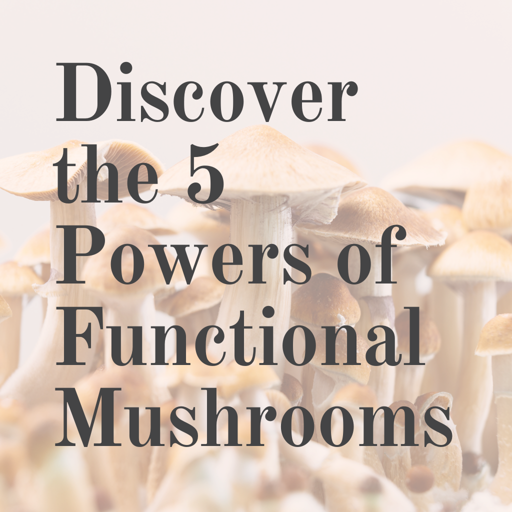 Discover the 5 Powers of Functional Mushrooms – Blissful