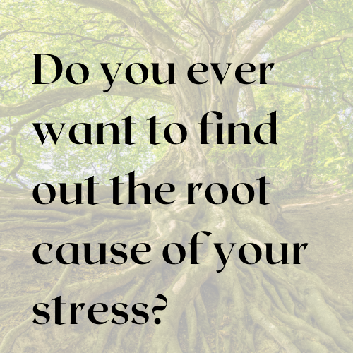 Do you ever wonder why you are stressed? find out the root cause so you can feel better today