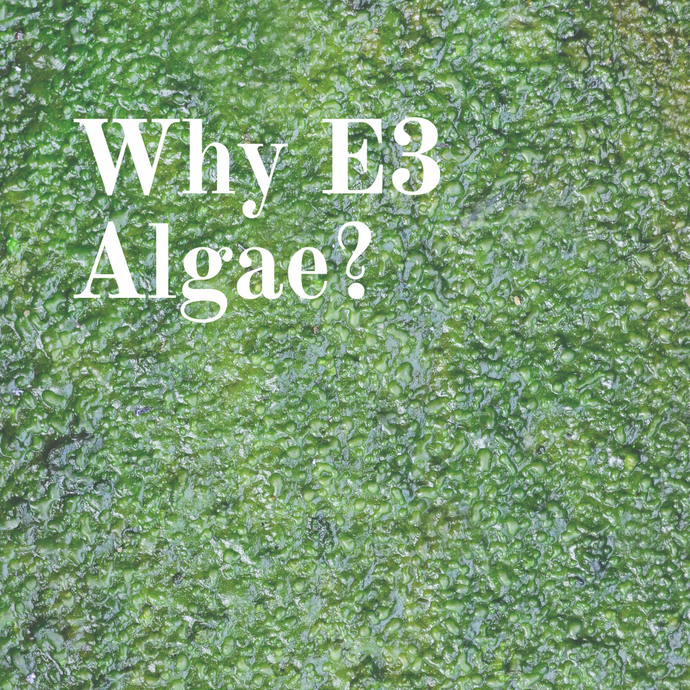 Why E3 Algae?