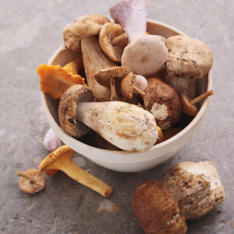 These mushrooms can help boost your immune system!